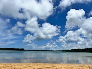  マリンショップHAPPYに投稿された画像（2025/5/21）