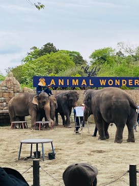 ANIMAL WONDER REZOURT 市原ぞうの国・サユリワールドに投稿された画像（2025/5/21）