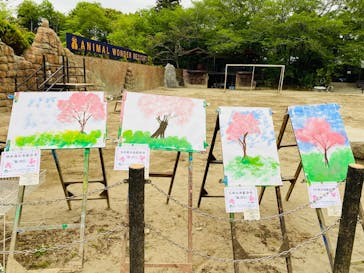 ANIMAL WONDER REZOURT 市原ぞうの国・サユリワールドに投稿された画像（2025/5/21）