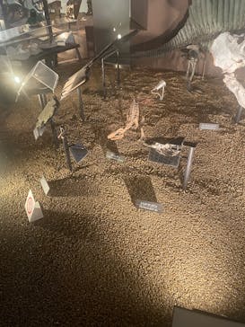 国立科学博物館に投稿された画像（2025/5/21）