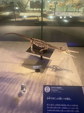 国立科学博物館に投稿された画像（2025/5/21）