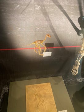 国立科学博物館に投稿された画像（2025/5/21）