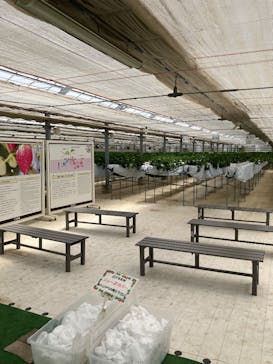 ＠FARMに投稿された画像（2025/5/21）