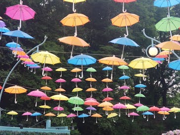 ムーミンバレーパークに投稿された画像（2025/5/21）