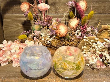 SEND Hiroshimaに投稿された画像（2025/5/21）