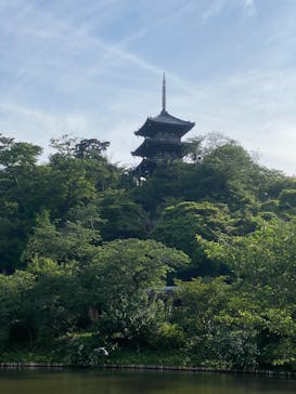 三溪園に投稿された画像（2025/5/21）