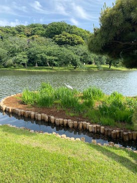 三溪園に投稿された画像（2025/5/21）