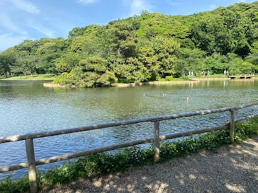 三溪園に投稿された画像（2025/5/21）