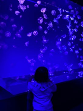 名古屋港水族館に投稿された画像（2025/5/21）