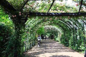 横浜イングリッシュガーデンに投稿された画像（2025/5/21）