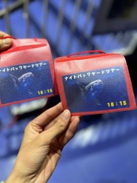 アクアワールド茨城県大洗水族館に投稿された画像（2025/5/21）