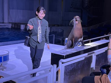 アクアワールド茨城県大洗水族館に投稿された画像（2025/5/21）