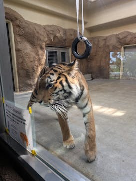 日立市かみね動物園に投稿された画像（2025/5/21）
