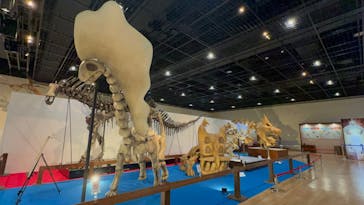 福井県立恐竜博物館に投稿された画像（2025/5/21）