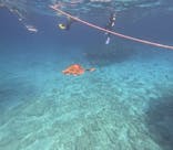 マリンクラブ ベリー 那覇店に投稿された画像（2025/5/21）