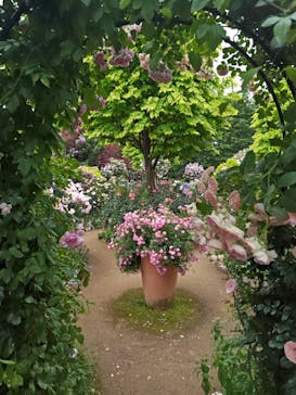 横浜イングリッシュガーデンに投稿された画像（2025/5/21）