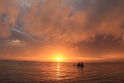 グロースターに投稿された画像（2025/5/21）