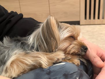 いぬカフェRio 富士見店に投稿された画像（2025/5/21）