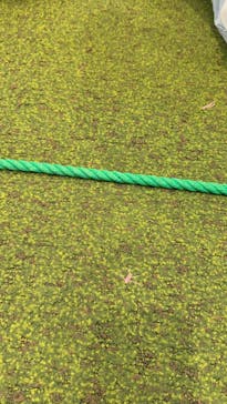 横浜アンパンマンこどもミュージアムに投稿された画像（2025/5/21）