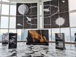手塚治虫「火の鳥」展－火の鳥は、エントロピー増大と抗う動的平衡＝宇宙生命の象徴－に投稿された画像（2025/5/22）