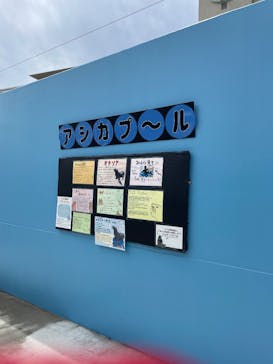 竹島水族館に投稿された画像（2025/5/22）