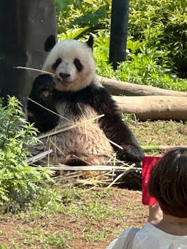 恩賜上野動物園に投稿された画像（2025/5/22）