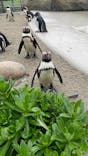 仙台うみの杜水族館に投稿された画像（2025/5/22）