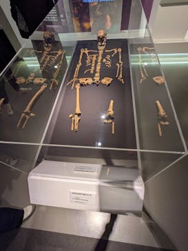 特別展「古代DNA－日本人のきた道」（国立科学博物館）に投稿された画像（2025/5/22）