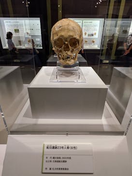 特別展「古代DNA－日本人のきた道」（国立科学博物館）に投稿された画像（2025/5/22）