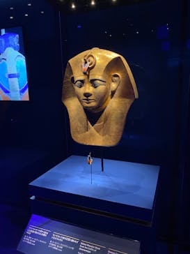 ACN ラムセス大王展 ファラオたちの黄金に投稿された画像（2025/5/22）