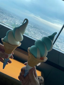 横浜ランドマークタワー 69階展望フロア スカイガーデンに投稿された画像（2025/5/22）