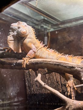 マクセル アクアパーク品川に投稿された画像（2025/5/22）