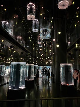 マクセル アクアパーク品川に投稿された画像（2025/5/22）