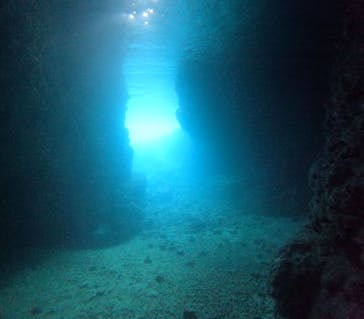 DIVING-SHOP SUNSに投稿された画像（2025/5/22）