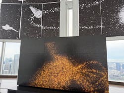 手塚治虫「火の鳥」展－火の鳥は、エントロピー増大と抗う動的平衡＝宇宙生命の象徴－に投稿された画像（2025/5/22）