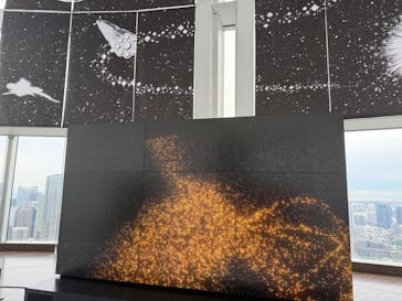 手塚治虫「火の鳥」展－火の鳥は、エントロピー増大と抗う動的平衡＝宇宙生命の象徴－に投稿された画像（2025/5/22）