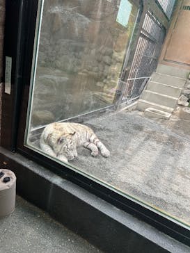 東武動物公園に投稿された画像（2025/5/22）