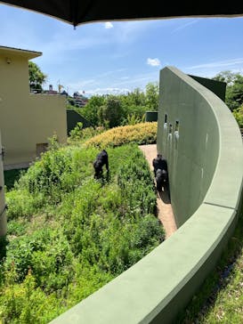 名古屋市東山動植物園に投稿された画像（2025/5/22）