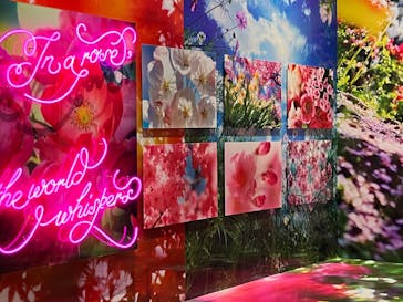 ぎふワールド・ローズガーデンに投稿された画像（2025/5/22）