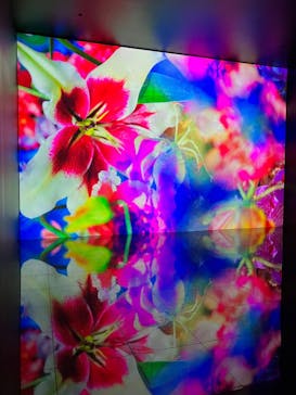 ぎふワールド・ローズガーデンに投稿された画像（2025/5/22）