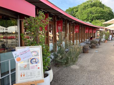 ぎふワールド・ローズガーデンに投稿された画像（2025/5/22）