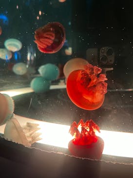 マクセル アクアパーク品川に投稿された画像（2025/5/22）