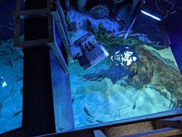 サンシャイン水族館に投稿された画像（2025/5/22）