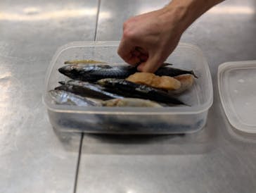 サンシャイン水族館に投稿された画像（2025/5/22）