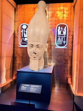 ACN ラムセス大王展 ファラオたちの黄金に投稿された画像（2025/5/22）