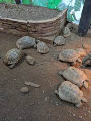 体感型動物園iZooに投稿された画像（2025/5/22）