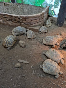 体感型動物園iZooに投稿された画像（2025/5/22）