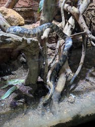 体感型動物園iZooに投稿された画像（2025/5/22）