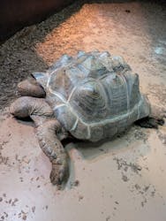 体感型動物園iZooに投稿された画像（2025/5/22）