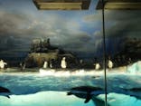 名古屋港水族館に投稿された画像（2025/5/22）